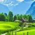 Gentle Music Calms The Nervous System And Pleases The Soul Healing Music For The Heart And Blood