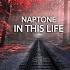 Naptone In This Life Extended Mix