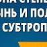 Зона степей Зона пустынь и полупустынь Зона субтропиков