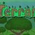 Terraria Music Jungle