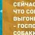 Ты куда такая красивая собралась Лучшие смешные анекдоты