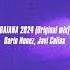 Dario Nunez Javi Colina BAIANA 2024 Original Mix