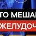 Главные преграды мешающие работе поджелудочной железы Панкреатит Ферменты Желчь