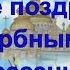 Красивое поздравление к Вербному Воскресенью Видео открытка с Вербным Воскресеньем