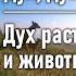 Дух растений и животных Глава 4 Лука Войно Ясенецкий Дух душа и тело