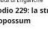 Episodio 229 La Strategia Dell Opossum Part 1 Di 5