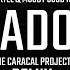 Boombox Cartel Moody Good Ft Calivania Shadow The Caracal Project Remix