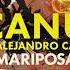 CANU Nu Alejandro Castelli Mariposa KMLN Remix