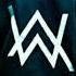 Alan Walker Feelings