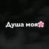 Тебя люблю люблю безумная