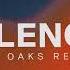 Silence Ely Oaks Remix