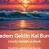 Madem Geldin Kal Burda