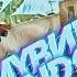 Мувик по рулям много пармезана