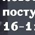 Новое поступление 16 11 2024 распродажа