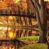 Beautiful Relaxing Music Calm Fall Music Cozy Autumn Garden Cottage By Dreamy Ambience