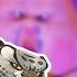 Why DreamWorks Villains Are Superior