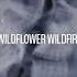 Wildflower Wildfire Lana Del Rey Slowed Reverb