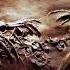 How Extreme Weather Can Reveal And Destroy Dinosaur Fossils Walking With Dinosaurs Unearthed