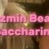 Jazmin Bean Saccharine Karaoke