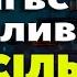 ХТО РОДИВСЯ В СІЧНІ ВСТАВАЙ НАЛИВАЙ ВЕСІЛЬНА ПІСНЯ з тіктоку