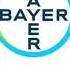 Bayer Logo 2019 Slowed Down 1x 2x 4x 8x