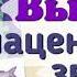 Краткий пересказ 54 Высшие или плацентарные звери Биология 7 класс Константинова Бабенко