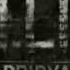 S T A L K E R Call Of Pripyat OST Firelake Live To Forget Credit Music