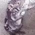 крыса моется в ванной Bizarre Rat Washes Itself Like Human