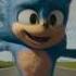 Соник в кино 2020 Sonic The Hedgehog Соник дразнит Сэра Пончика и спасает черепаху