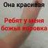 божья коровка божьякоровка