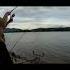 Rare Fish On The Hook Look What I Caught