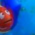 Finding Nemo It S Like He S Trying To Speak To Me