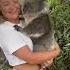 Koala Cuddles Woman S Dream Come True As She Holds Adorable Marsupial