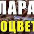 Самые мощные загрузки для подсознания Привлеки поток изобилия просто слушая это 7 дней подряд