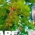 Moez Mohmand New Song Ghum Chape 2020 Full HD