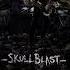 Watch Joachim Kremer S Epic Playthrough Of SKULLBLAST By Assassin