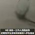 5月9日 江西南昌 校方回應保安暴力捕捉流浪貓 確實粗魯 對保安批評教育 貓無大礙 被保衛處人員領回家喂養