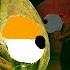 Dark Deception Fake Dread Duckies In A Nutshell