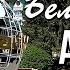 Санаторий Алтай West курорт Белокуриха Россия Обзор санатория Алтай Вест