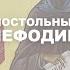Святые равноапостольные Кирилл и Мефодий