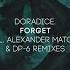 Forget Alexander Matchak Remix