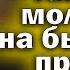 Пропустишь потом не жалей Сильная молитва Пресвятой Богородице Дева радуйся