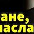 Миллионера пытались убить в ресторане но его спасла простая домохозяйка