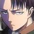 Levi Ackerman AMV Animals