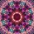 Silkworms By Rumi