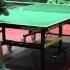 Алексей ВИНОГРАДОВ Алексей ПОПОВ Полная версия Настольный теннис Table Tennis