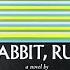 Rabbit Run By John Updike