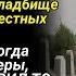 Каждую ночь на кладбище воют несколько собак Установив камеру мы потеряли дар речи от увиденного