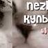 Nezhnoe Eto Культурный кот
