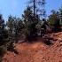 Rampart Range Colorado Trail 677 A Log Jumper The Fun Part